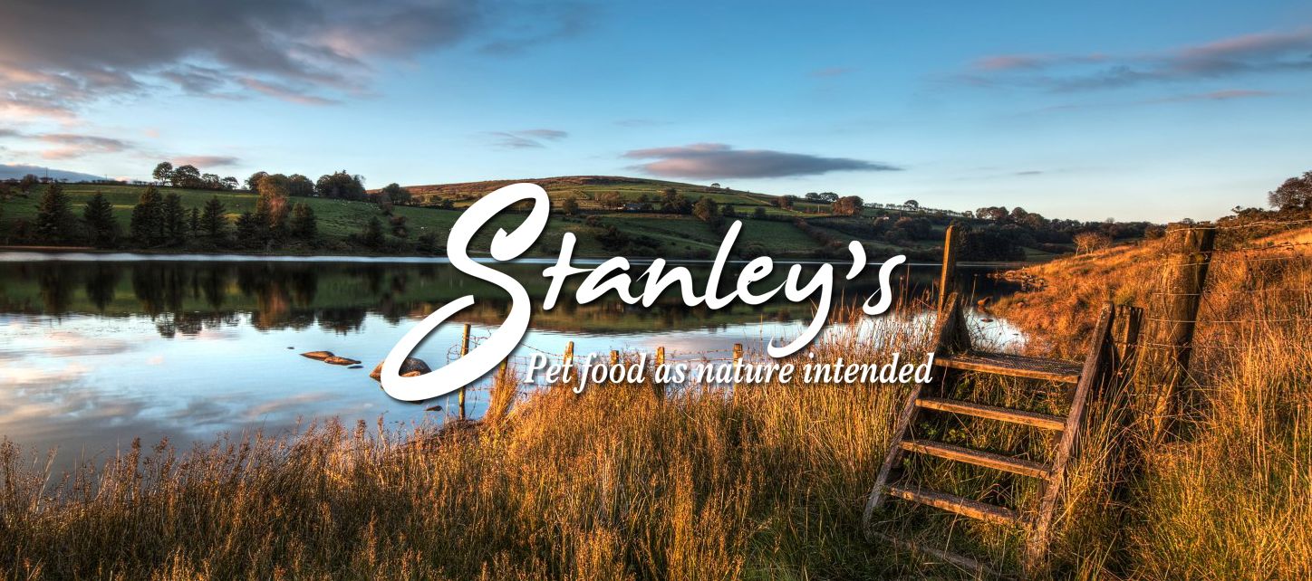 Pet shop Cricket Inn Pet & Animal Feeds Ltd