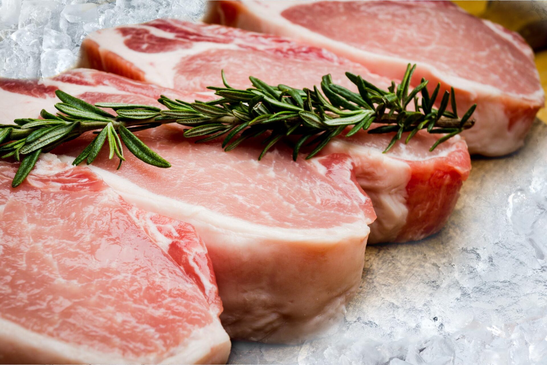 Pet shop Cricket Inn Pet & Animal Feeds Ltd