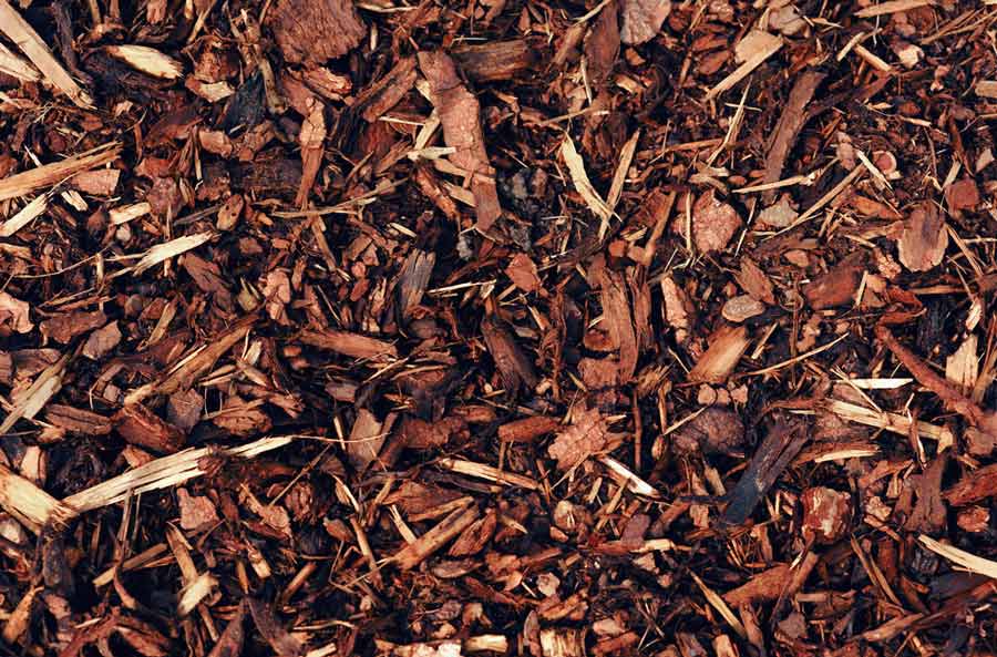 What Is The Best Mulch For Native Plants?