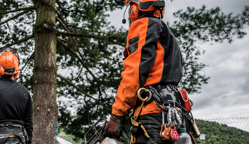 How Many Decibels Is A Chainsaw