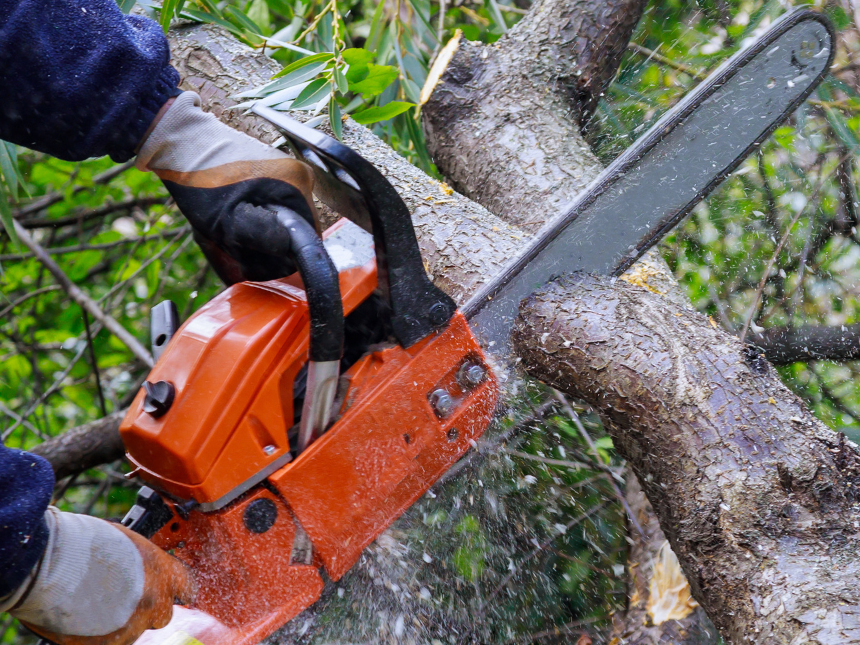Electric vs Gas Chainsaw Which One Is Better?