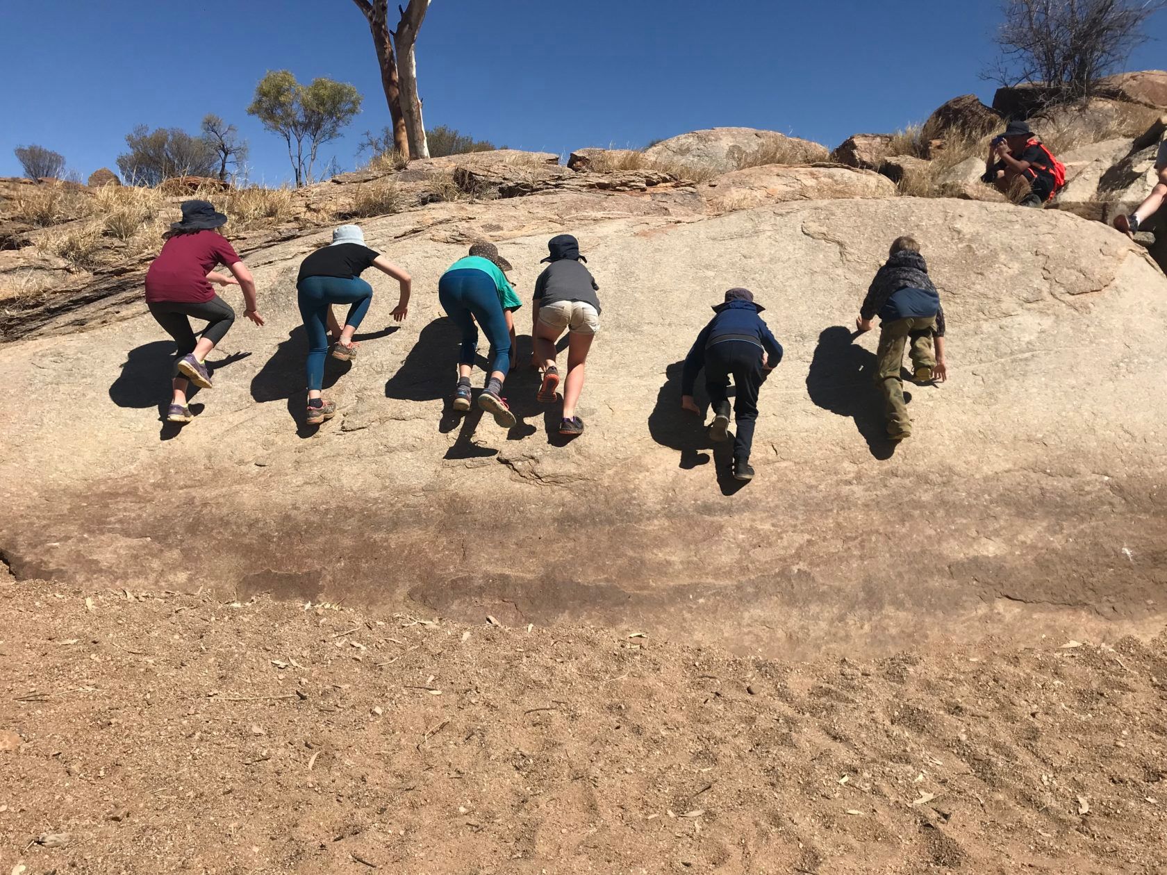 Bradshaw Primary School Alice Springs NEWS & EVENTS