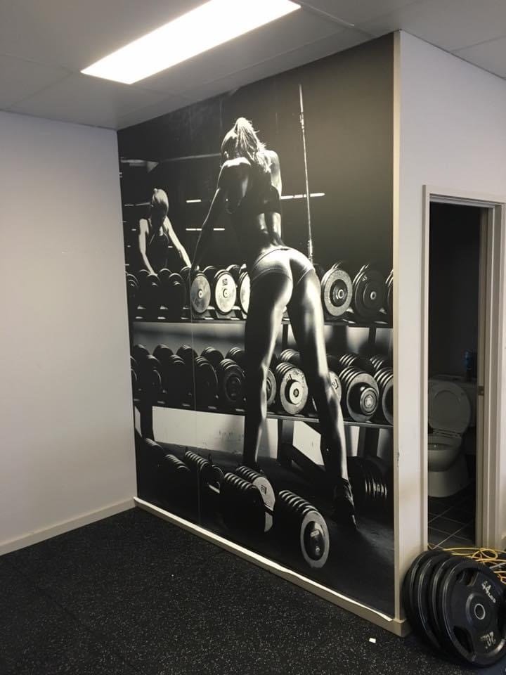 B2B Wallpaper Wallpaper in Canberra