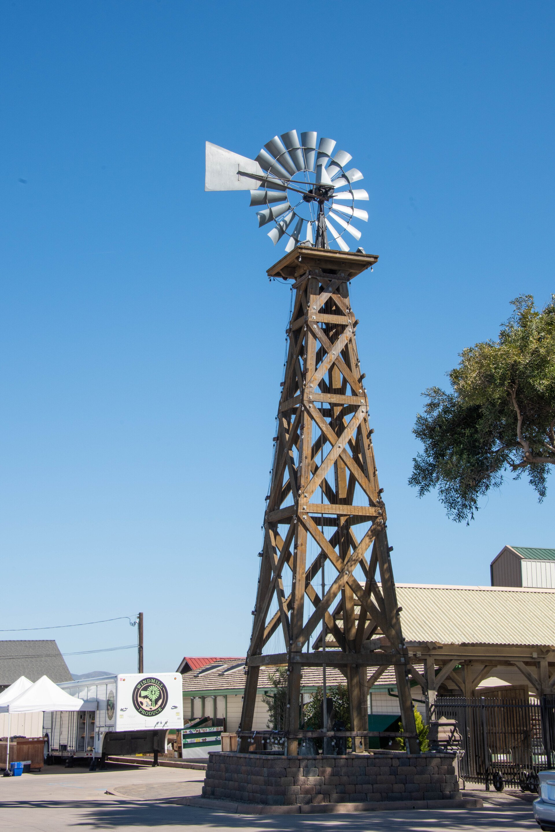 Plants & Flowers Salinas, CA Tope's Garden Center
