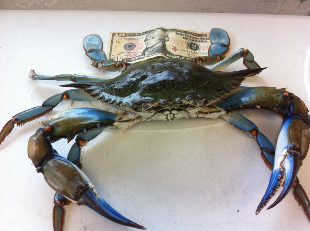 Seafood Restaurant Leesburg, FL Bubba’s Crab & Seafood