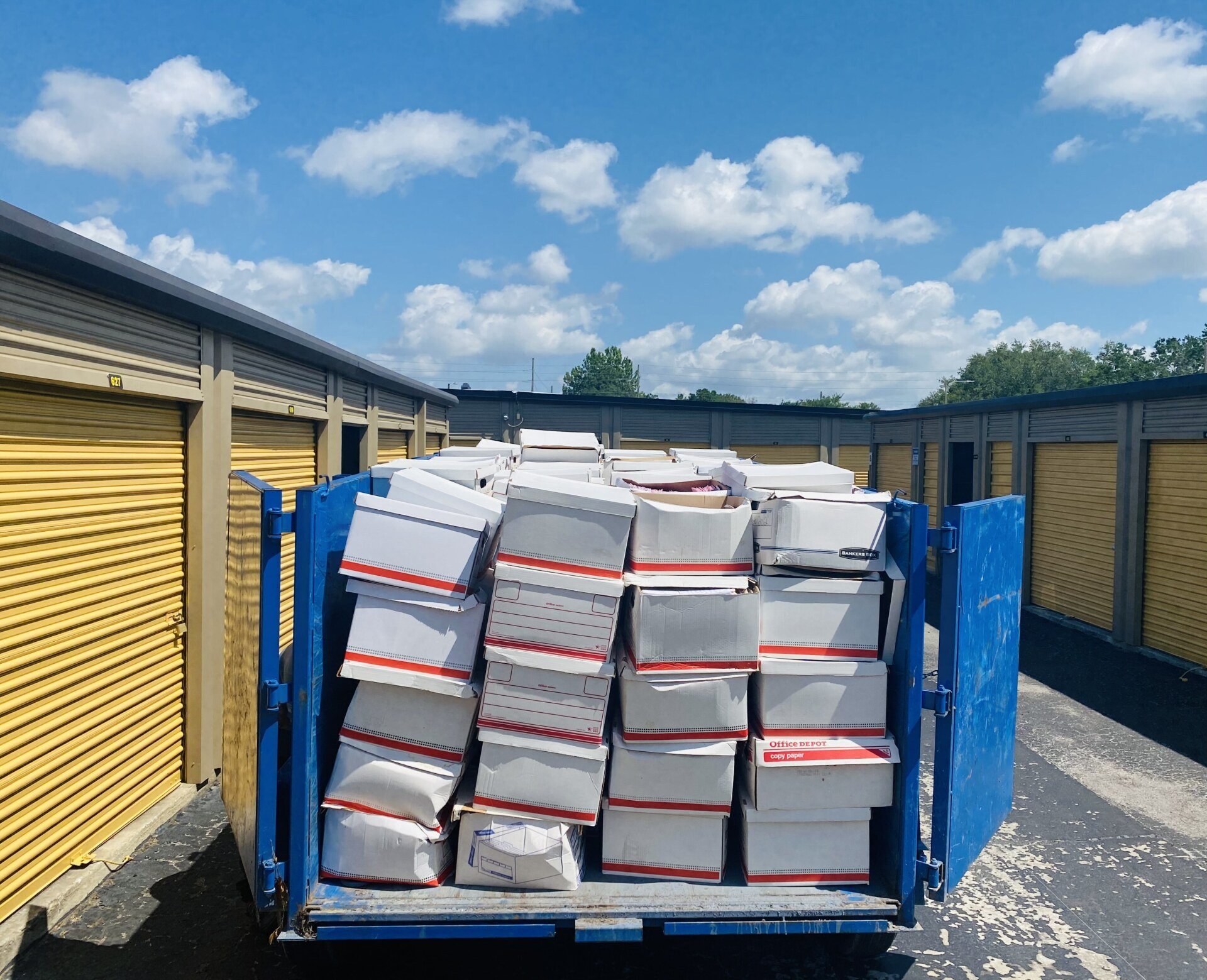 Junk Removal Tampa, FL Blue Whale Junk Removal