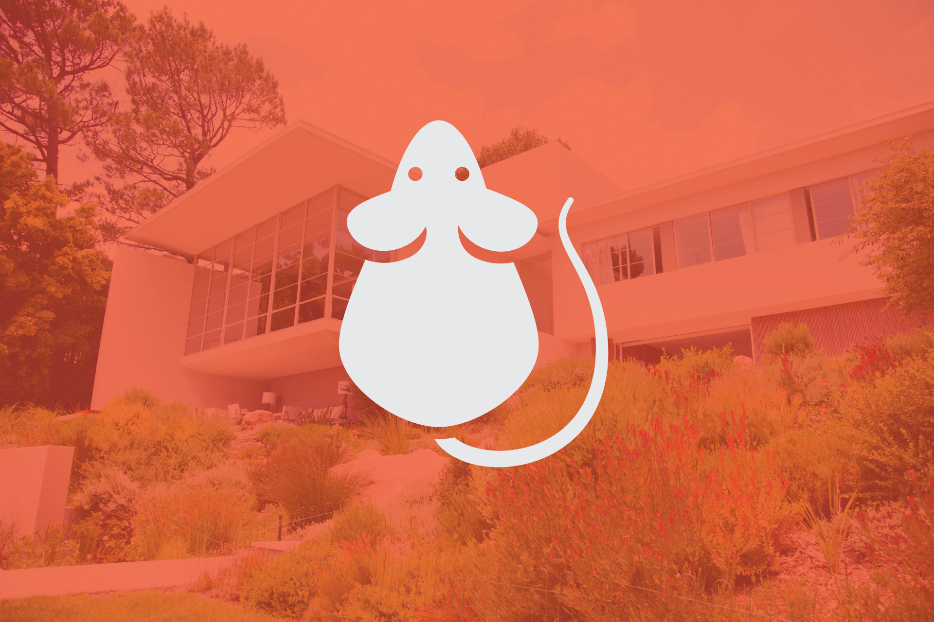 Pest Control Company l Bakersfield, CA l AB Pest Control