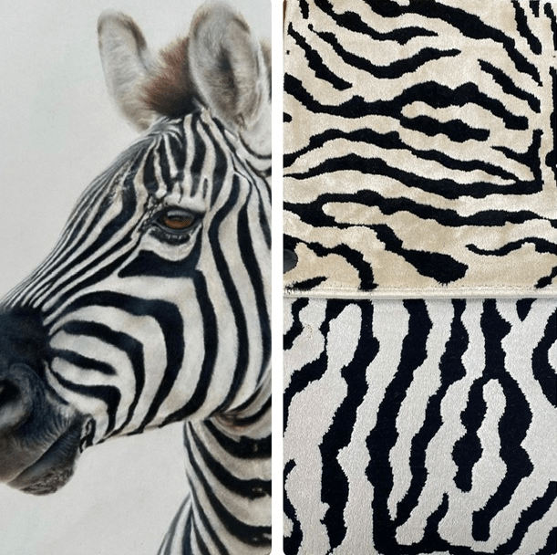Stylish carpets from Animal Print Carpets in the UK