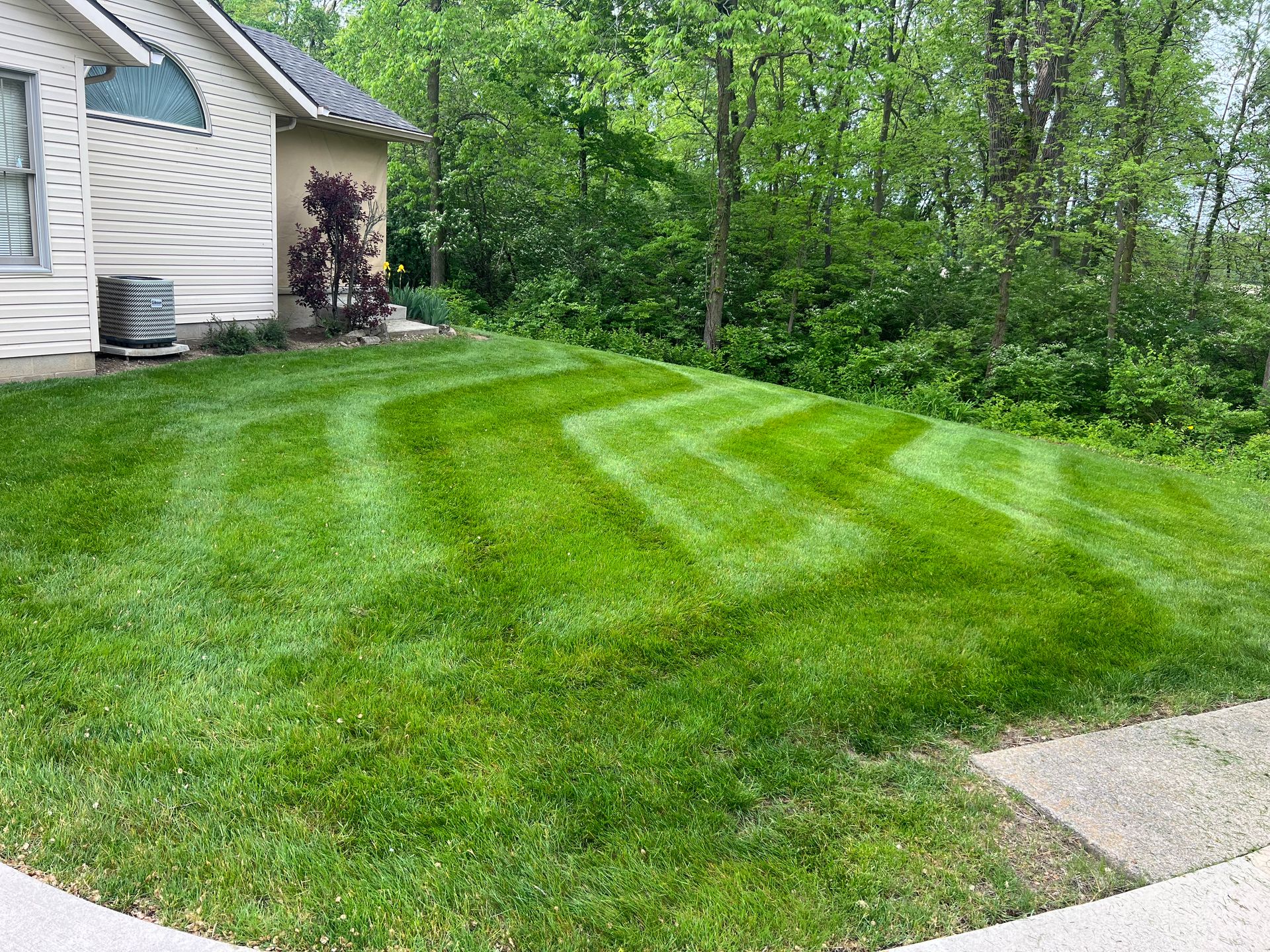 Cutting Edge Lawn Solutions Top Rated Landscaping & Lawn Care Service