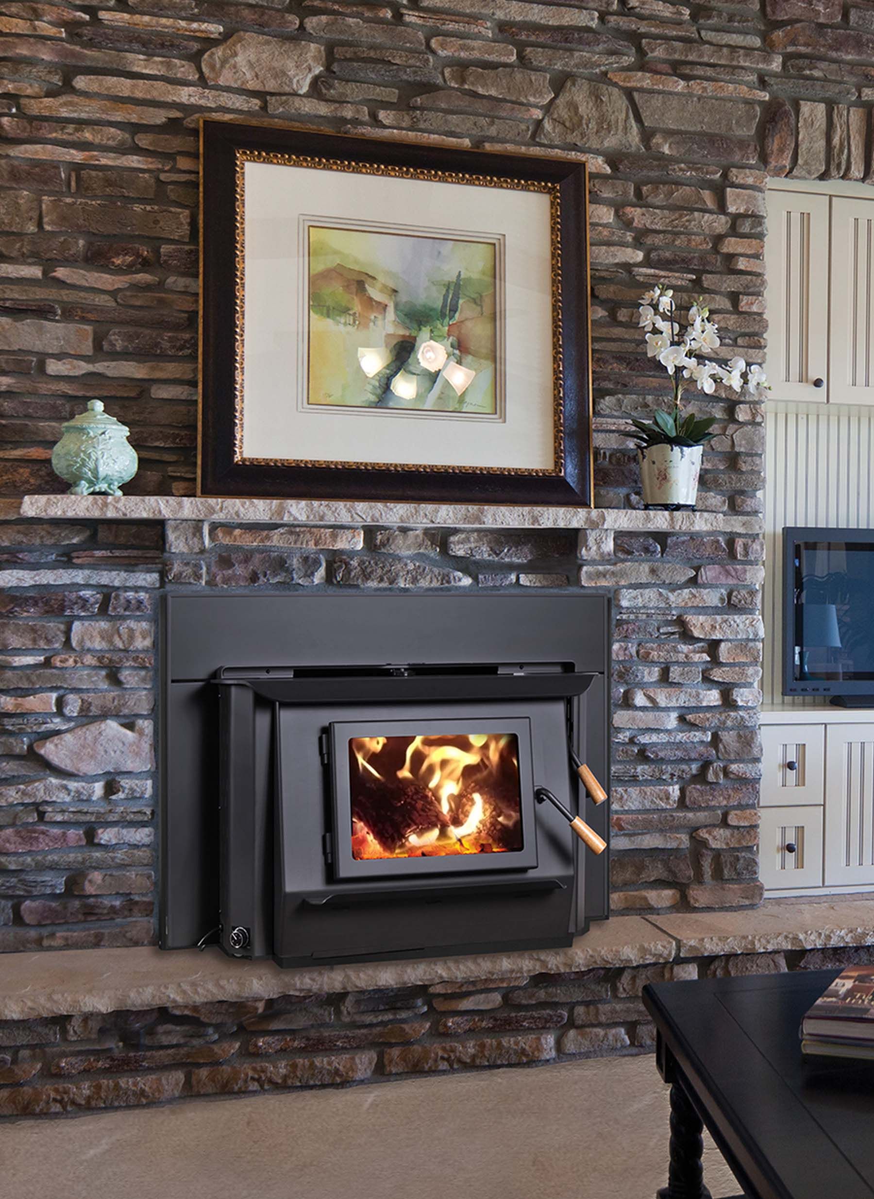 Fireplaces, Stoves, Inserts — Santa Cruz, California — Woodstove & Sun