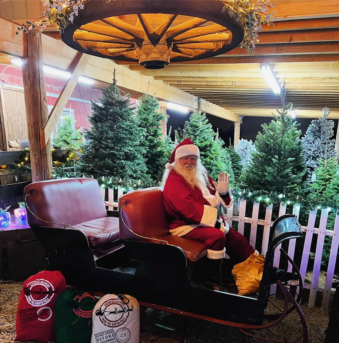 Chistmas Hayride Christmas Lights Hayride Farm Festival of Lights Hayride