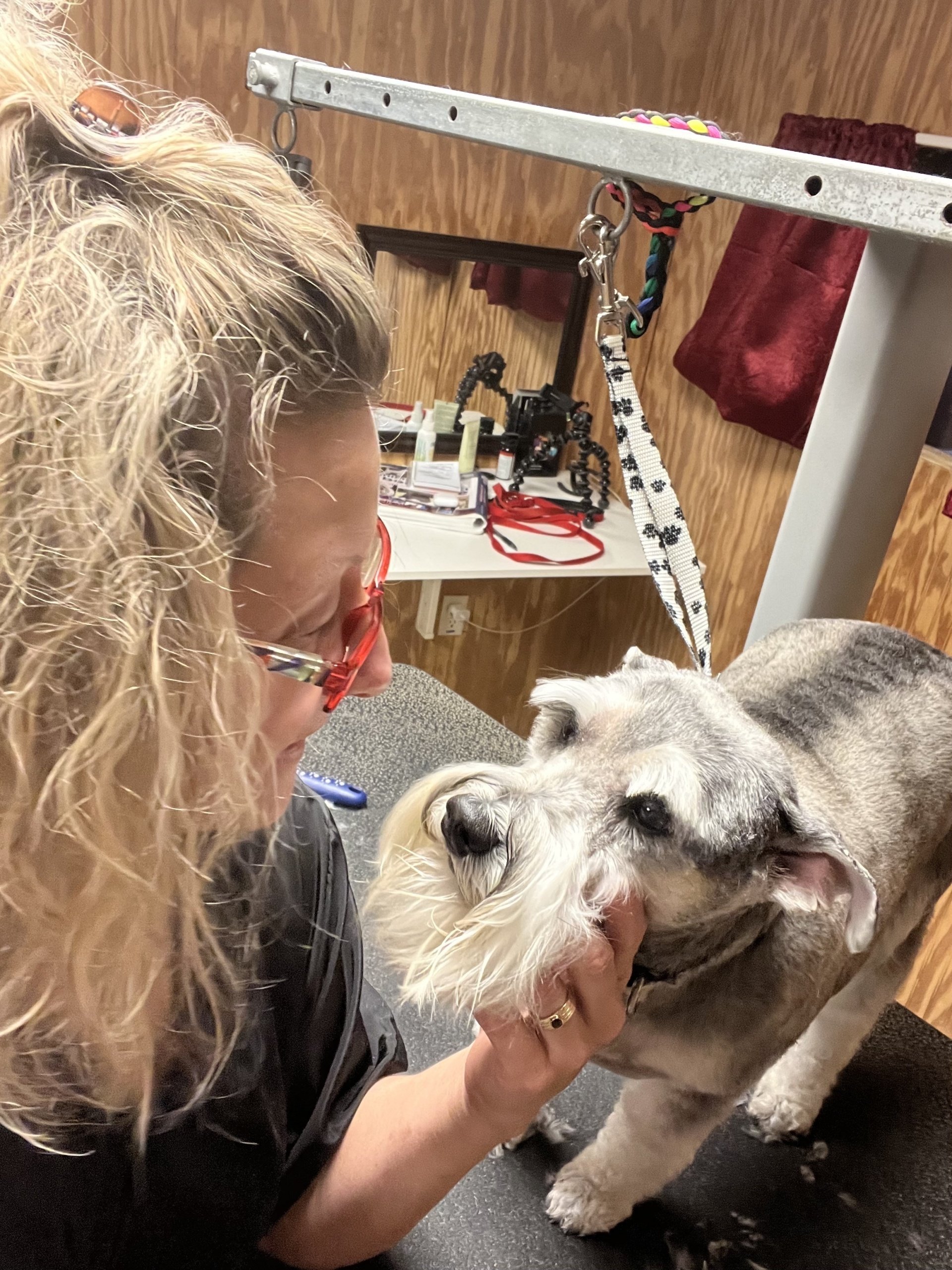 Dog Grooming l Richland, PA