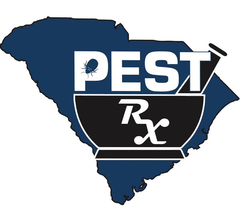 Pest Control Services Easley, SC Pest Rx