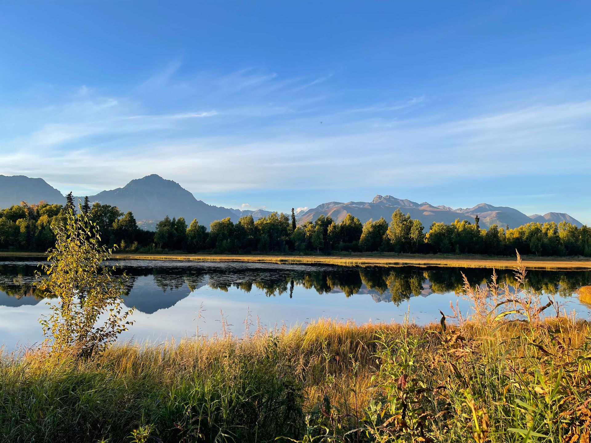 Real Estate Wasilla, AK Hooligan Real Estate Hub