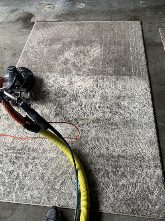 Professional Carpet Cleaning Johnson City, TN Larkins