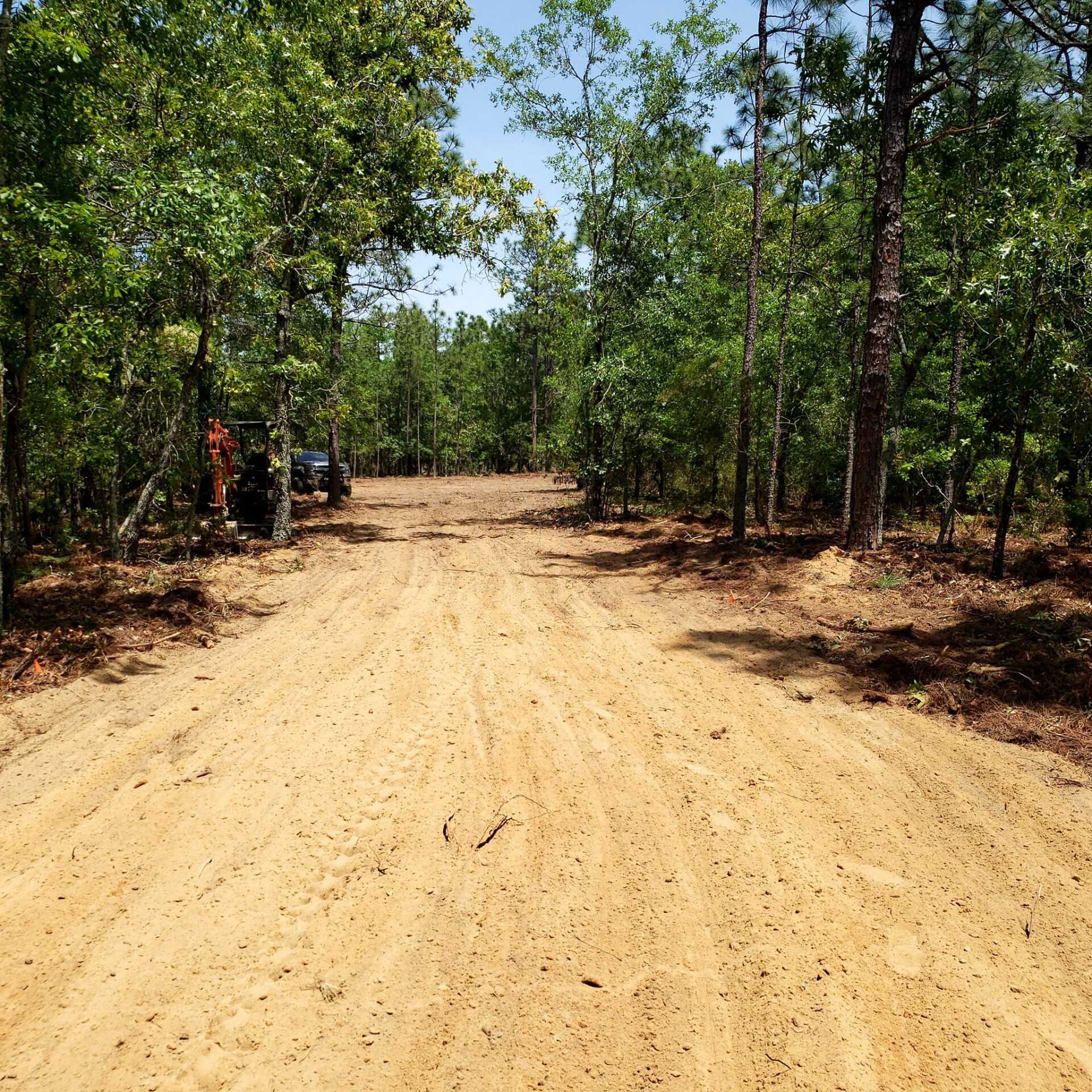 Tree Service, Land Clearing in Columbia, Irmo, Chapin South Carolina