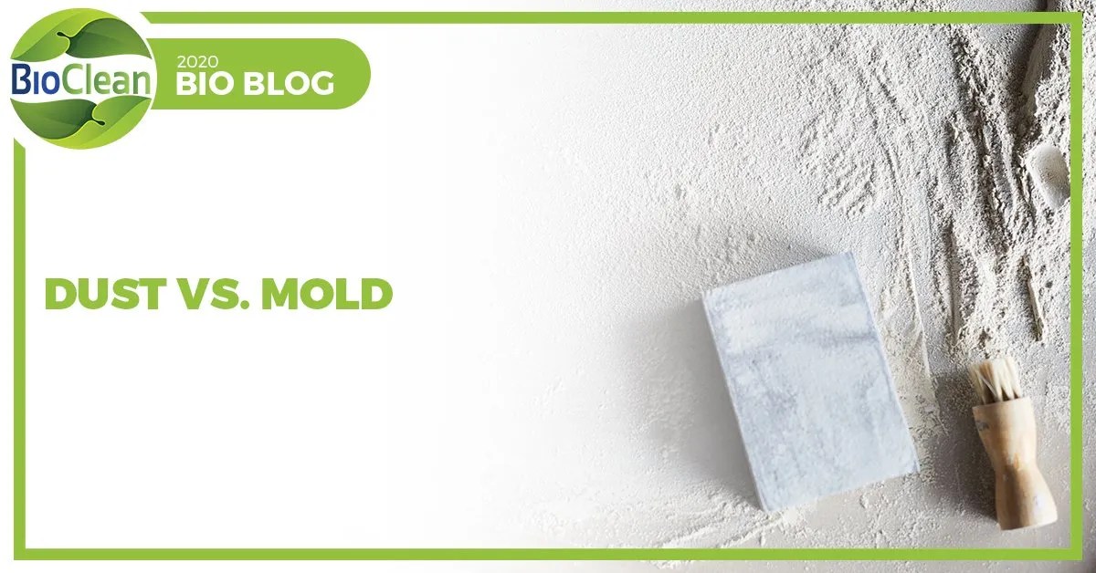 How to Know the Difference Between Dust and Mold