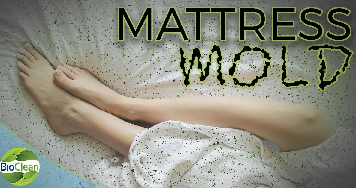 Mattress Mold 3 Important Things to Know Before It's Too Late