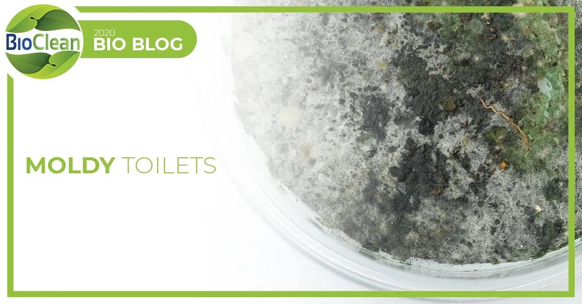 3 Ways to Treat Mold in Your Toilet Tank and Bowl