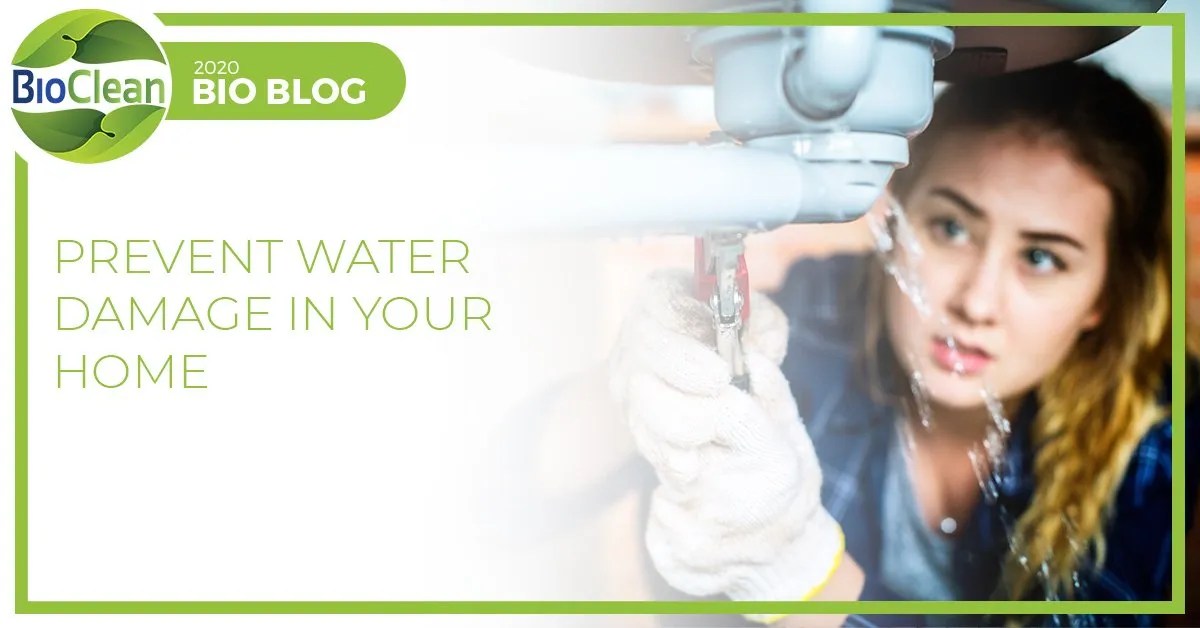 20 Tips to Prevent Water Damage in Your Home