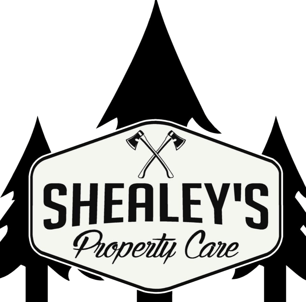 Tree Service Land Clearing Lexington, SC Shealey’s Property Care