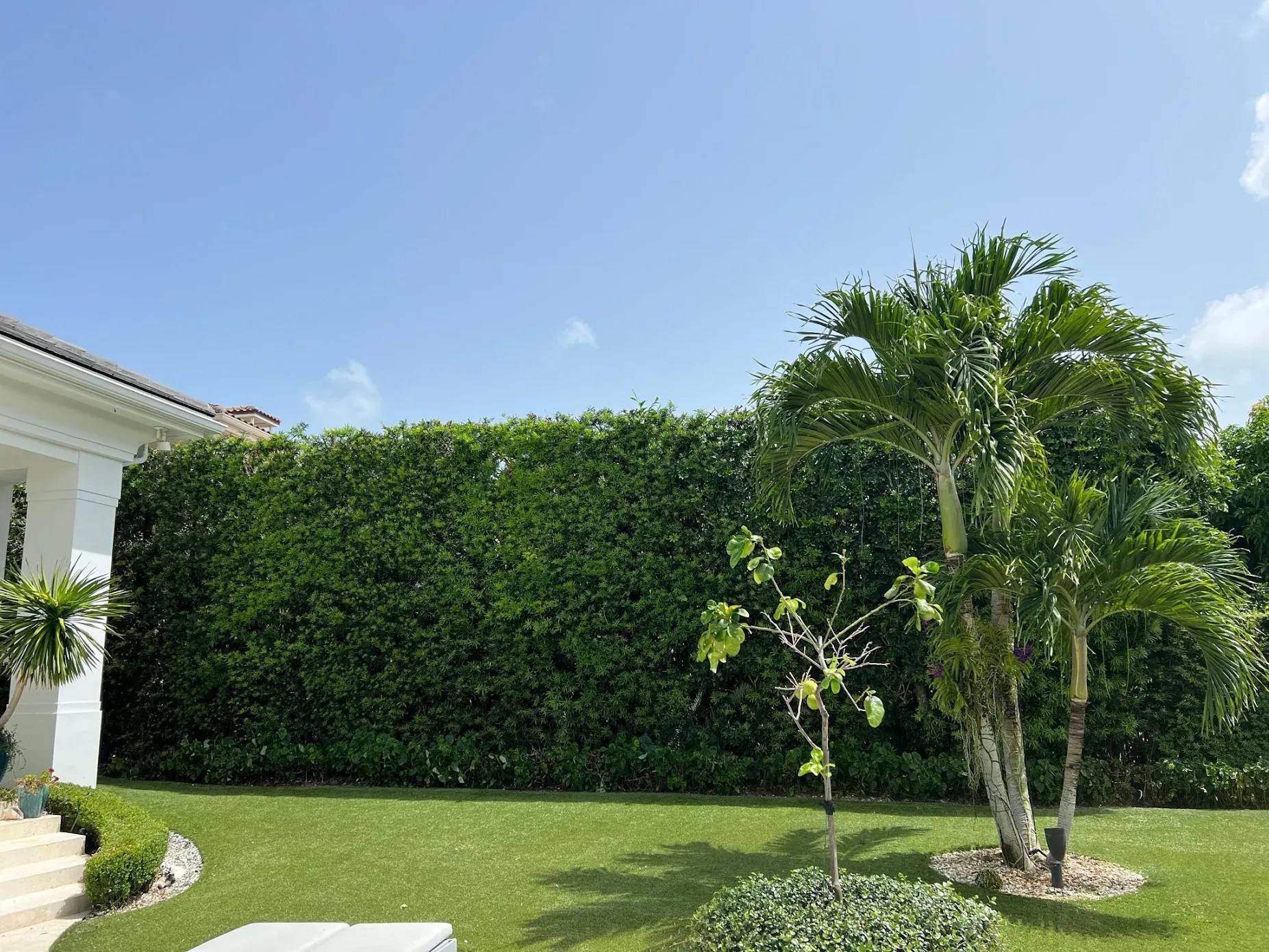 Expert Tree Care Services by A Better Tree LLC Pruning, Removal, Health Assessments