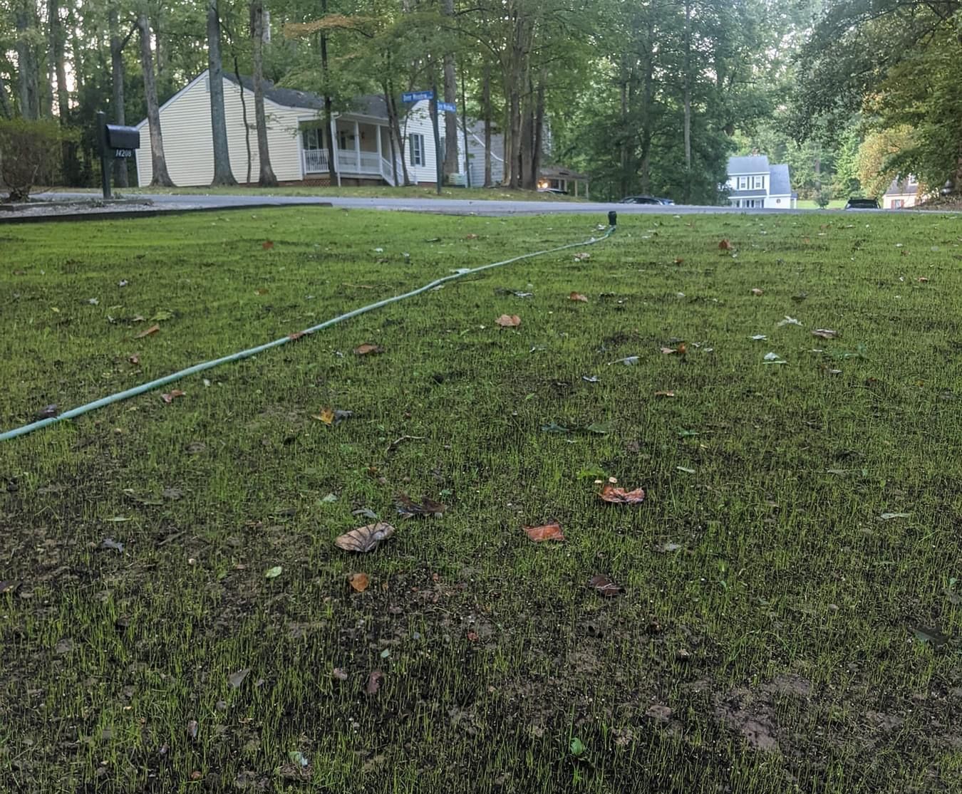 Decatur Lawn Pro Your One Stop Shop for Lawn Care