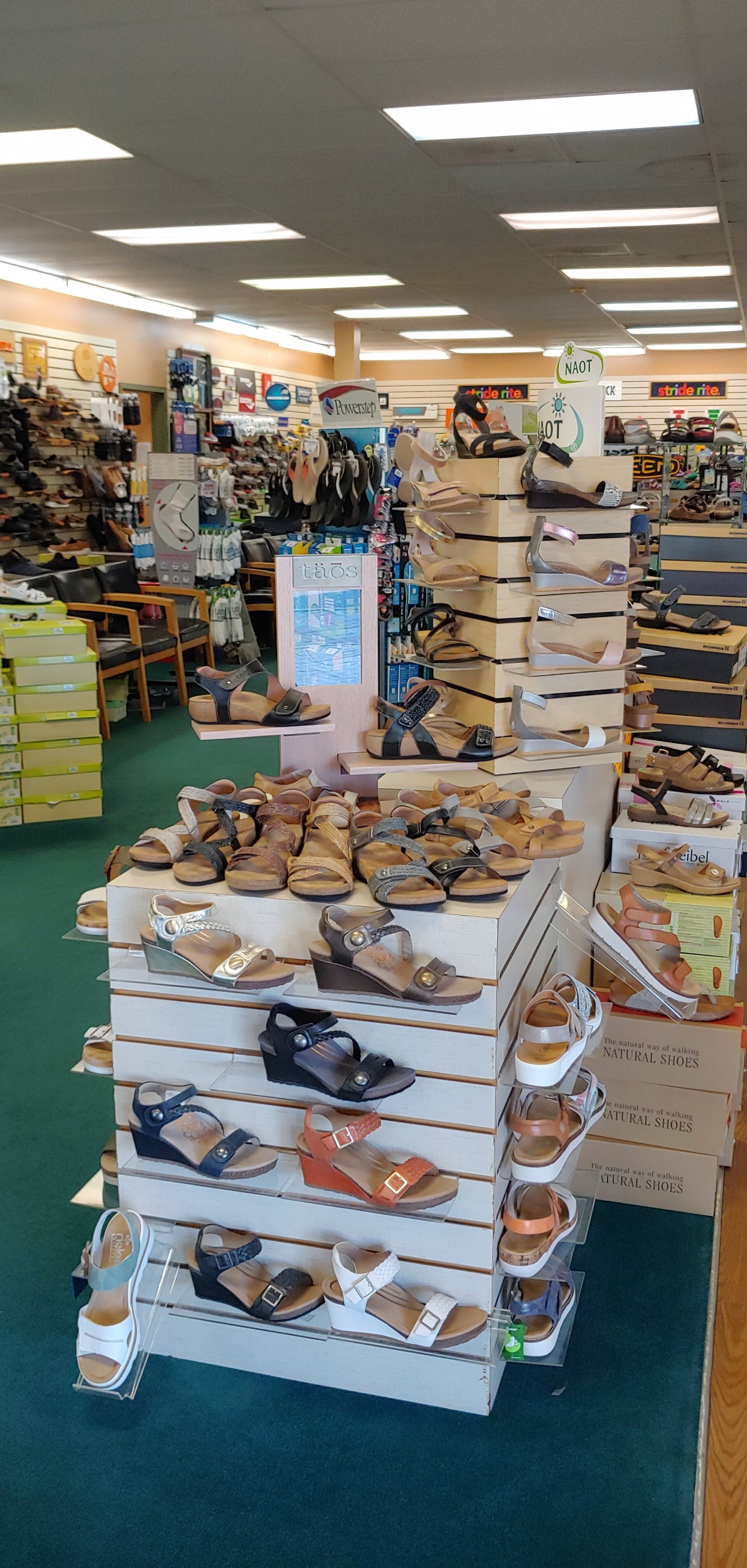 Shoe Store Naples Florida Snyderman's Shoes of Naples