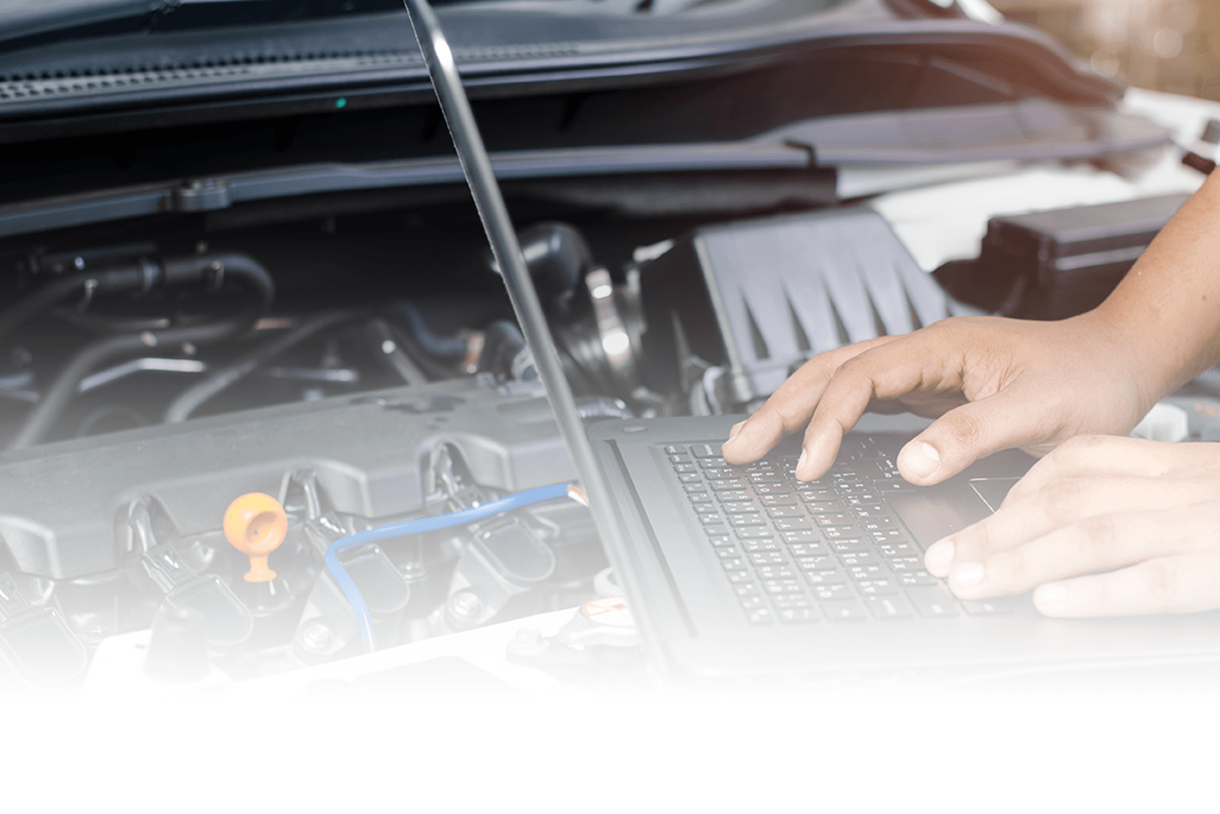 San Carlos Auto Repair Holland Car Care