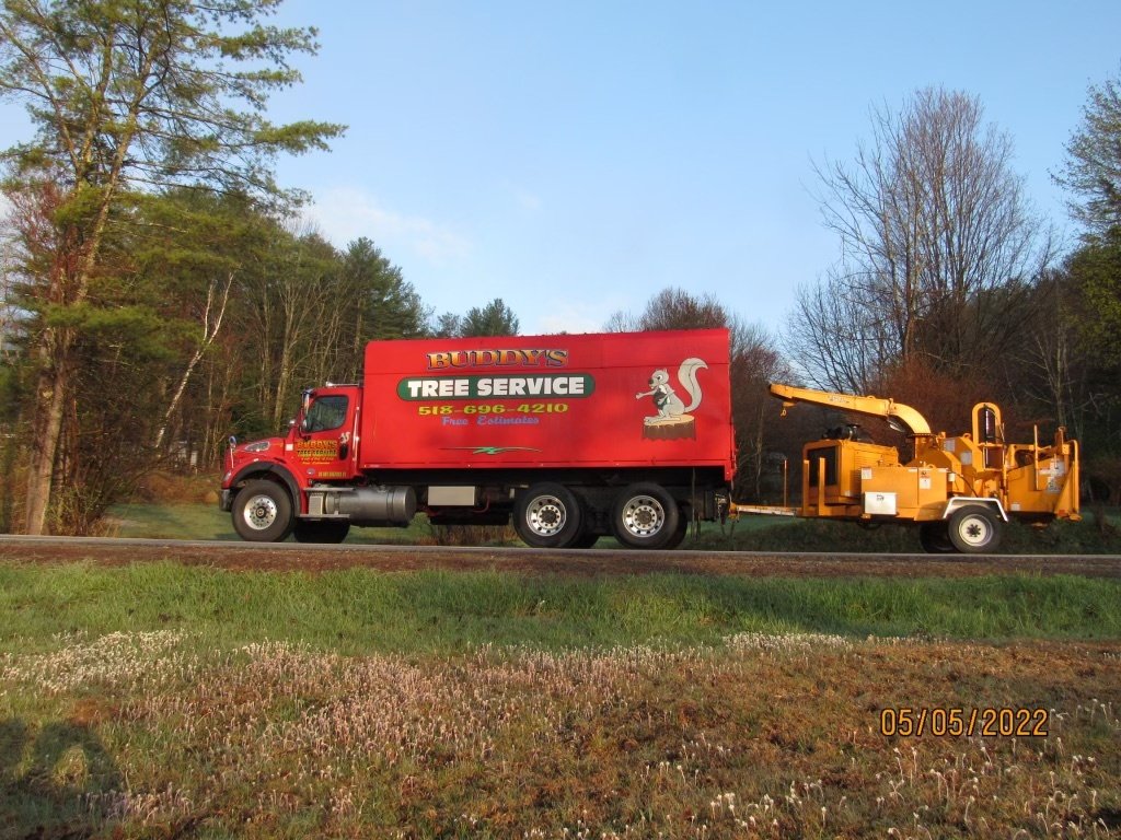 Gallery Hadley, NY Buddy’s Tree Service