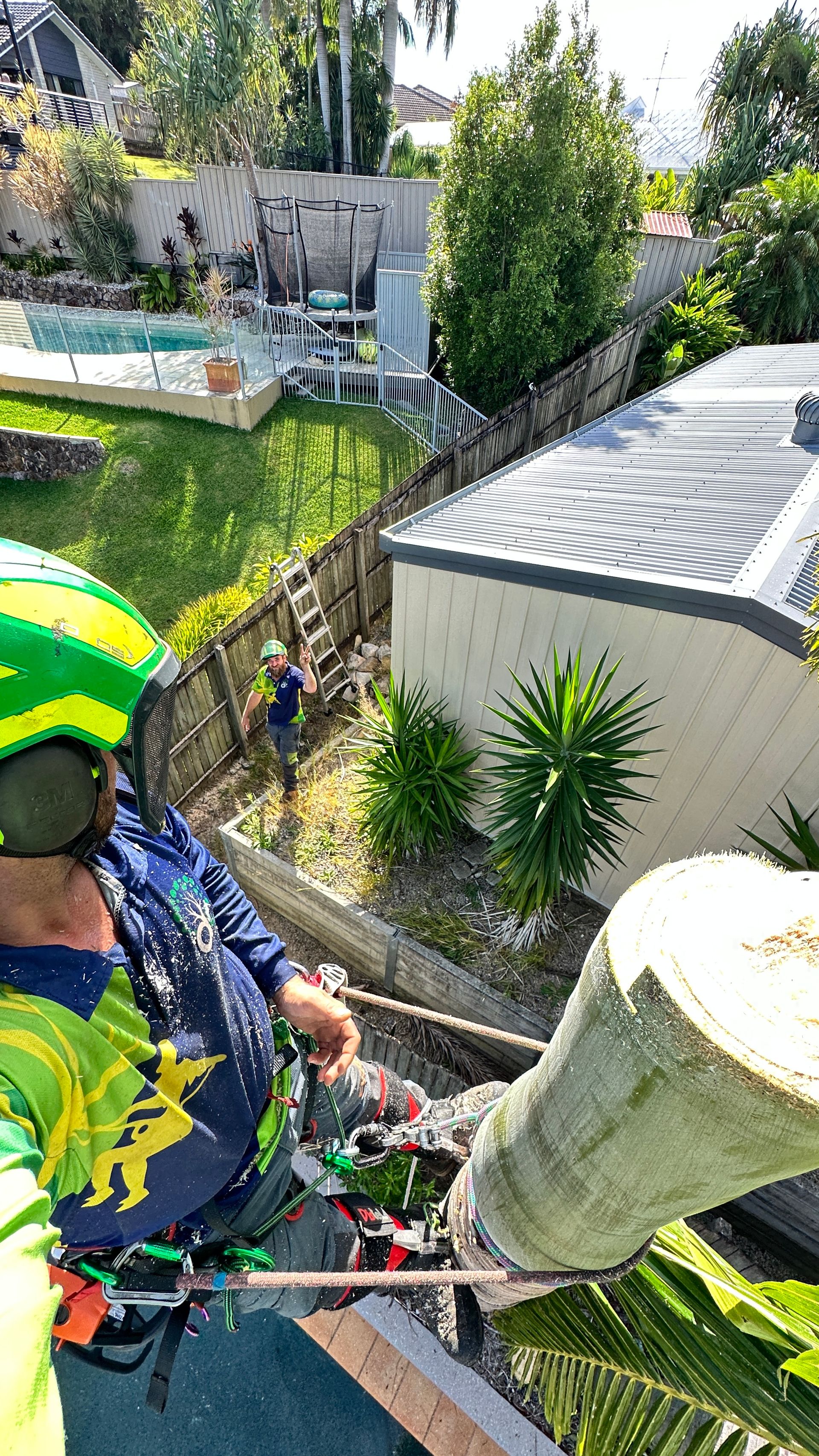 Contact Us Arborclimb Tree Removal Sunshine Coast