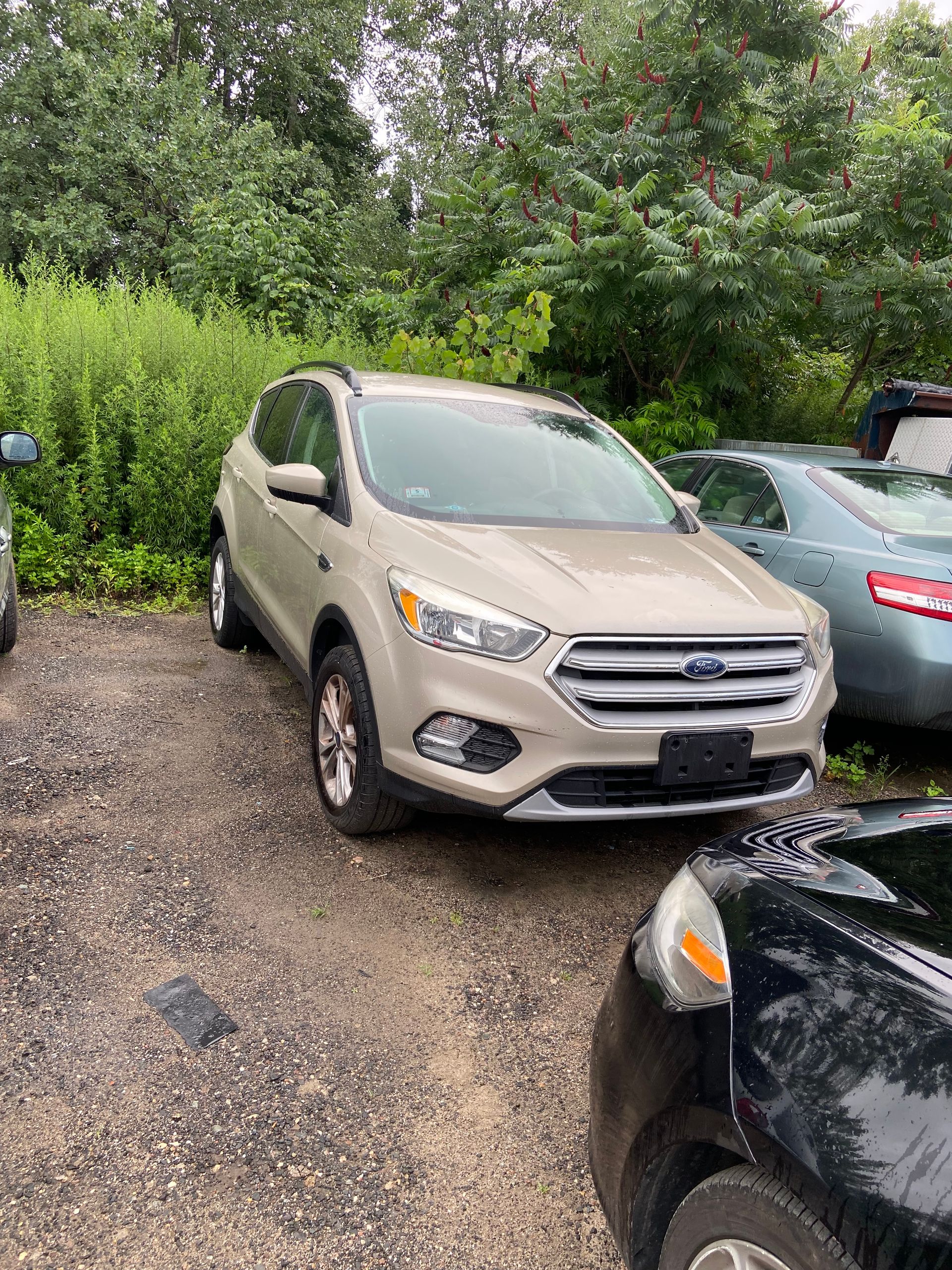 Auto Parts and Salvage Westover Auto Salvage Belchertown, MA