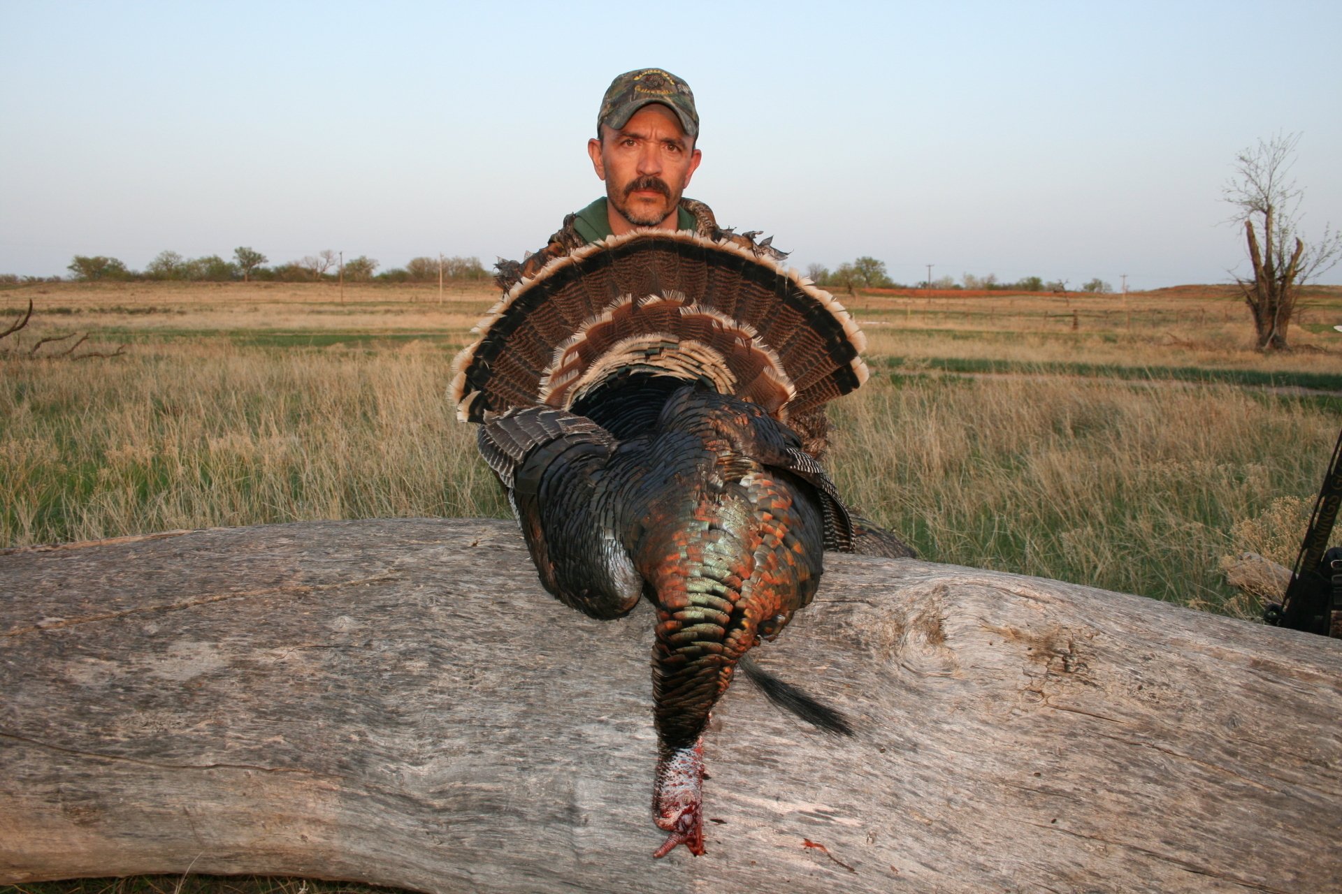 Oklahoma Turkey Hunting guide, Oklahoma Turkey Hunting Outfitter
