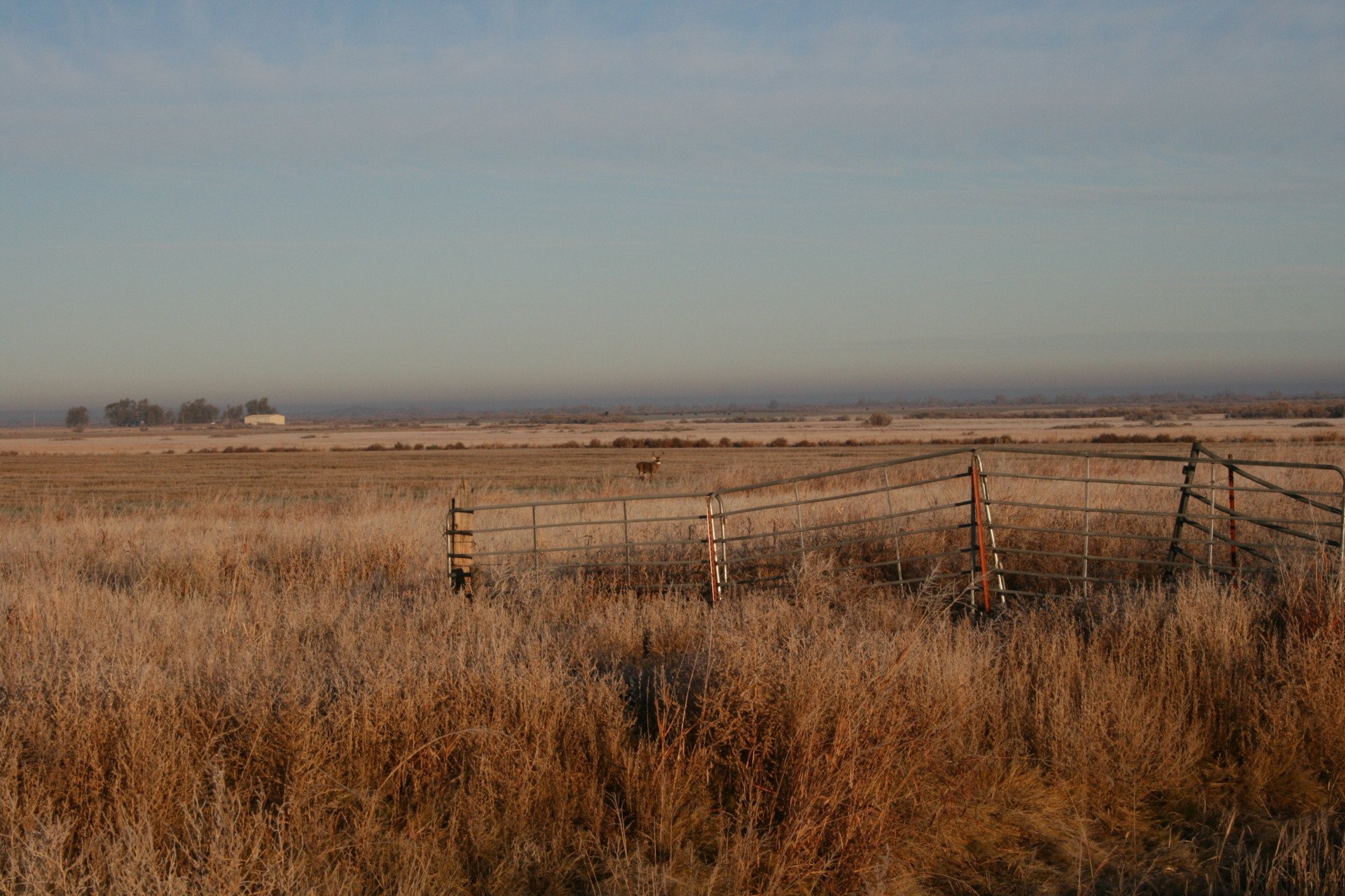 Oklahoma Quail Hunting,Guided Quail Hunt, Kansas Quail Hunting