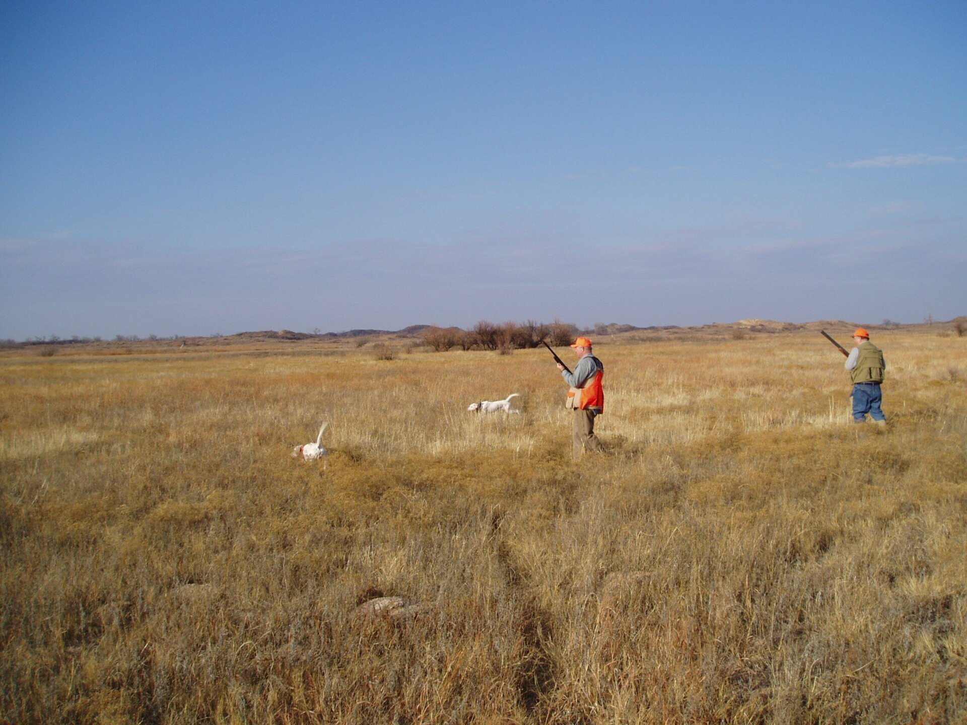 Oklahoma Quail Hunting,Guided Quail Hunt, Kansas Quail Hunting