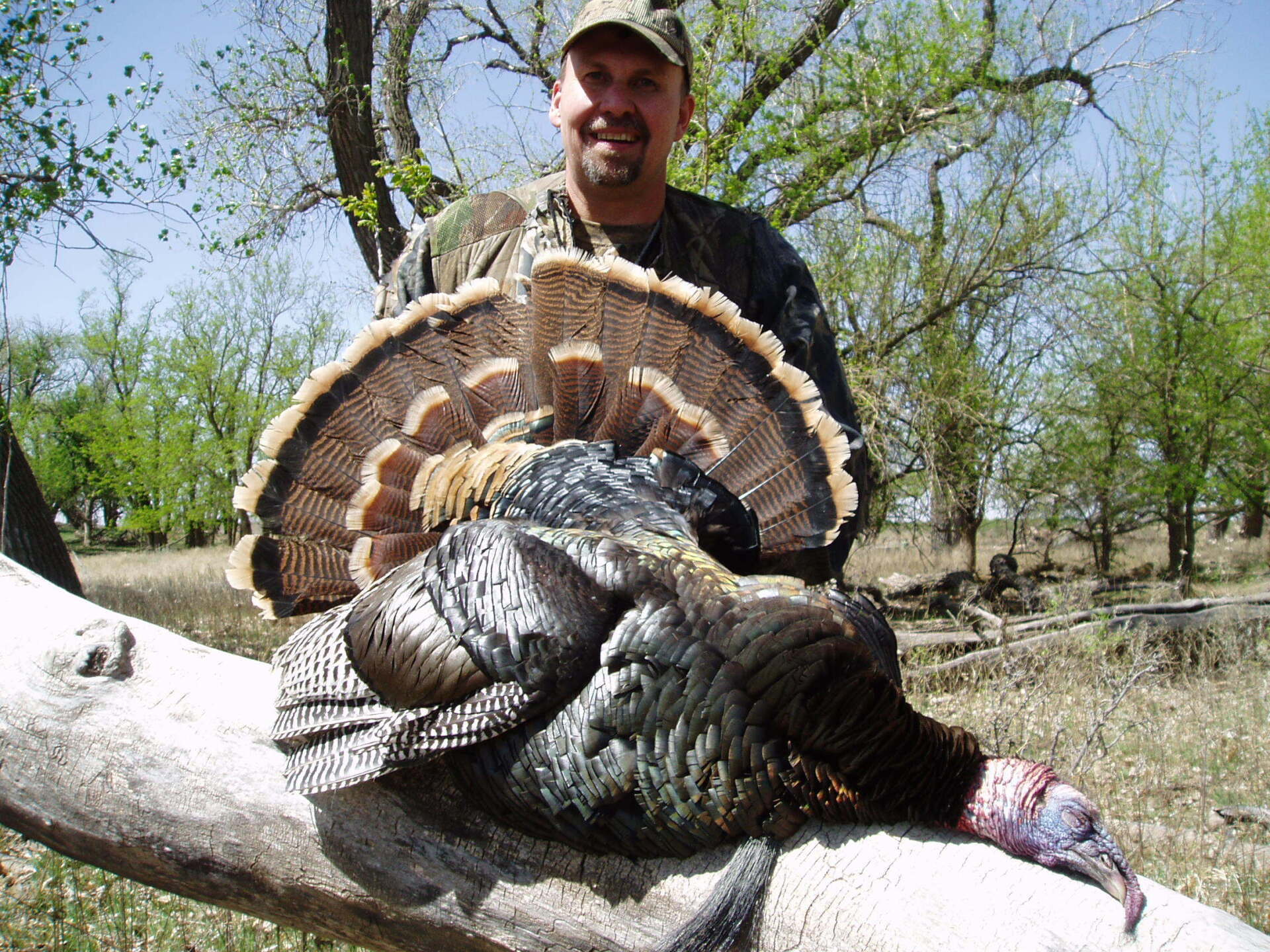 Oklahoma Turkey Hunting guide, Oklahoma Turkey Hunting Outfitter