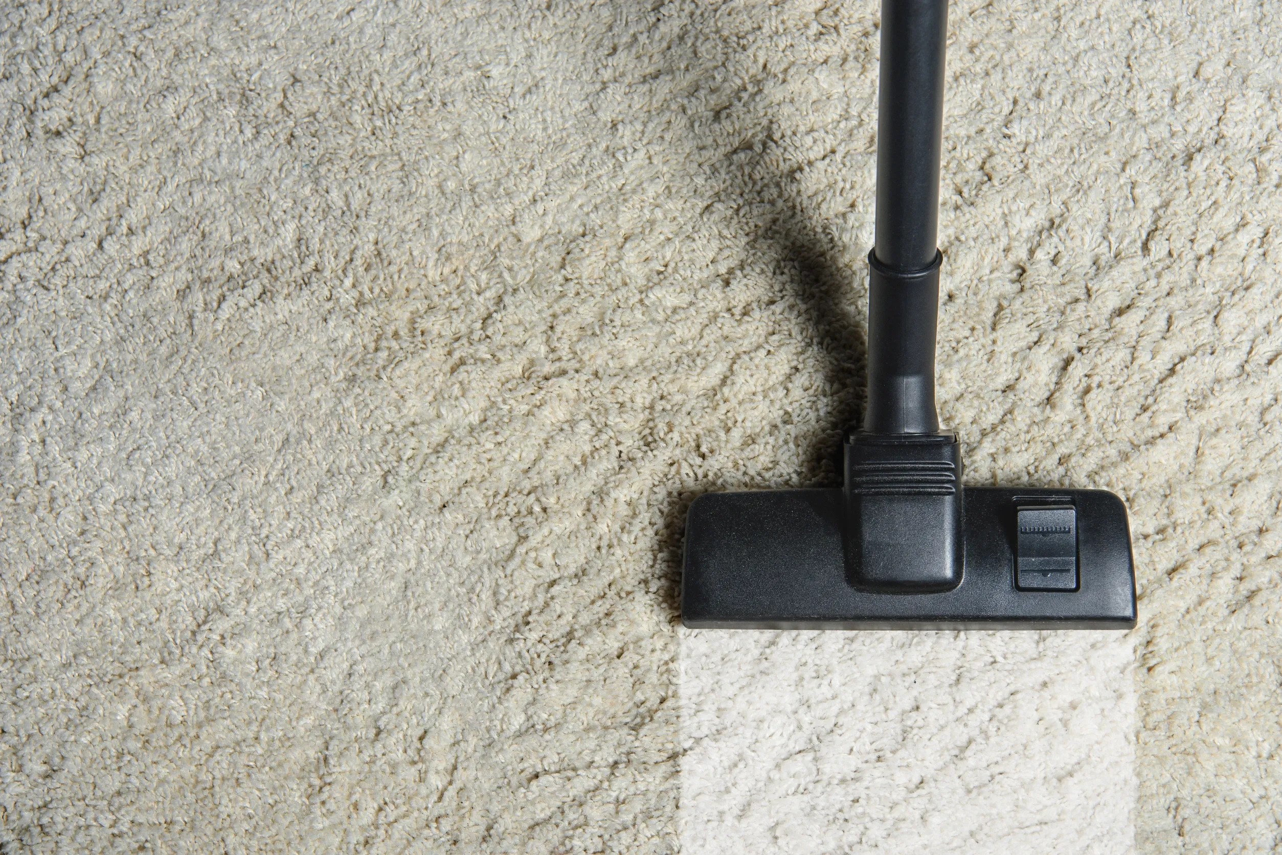 Why Fall is the Perfect Time for a Deep Carpet Clean