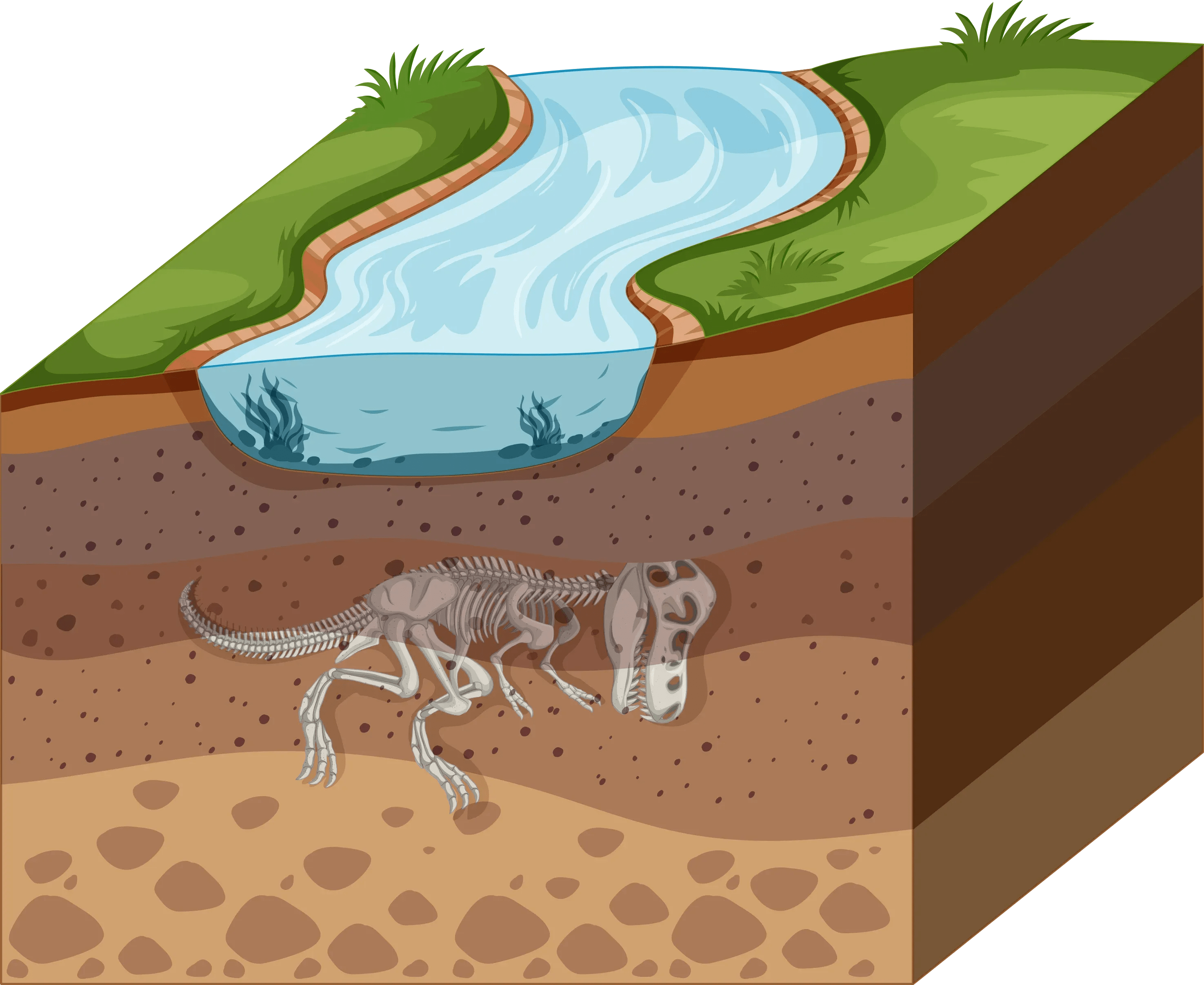 How Fossils Are Formed Home Learning Science KS2