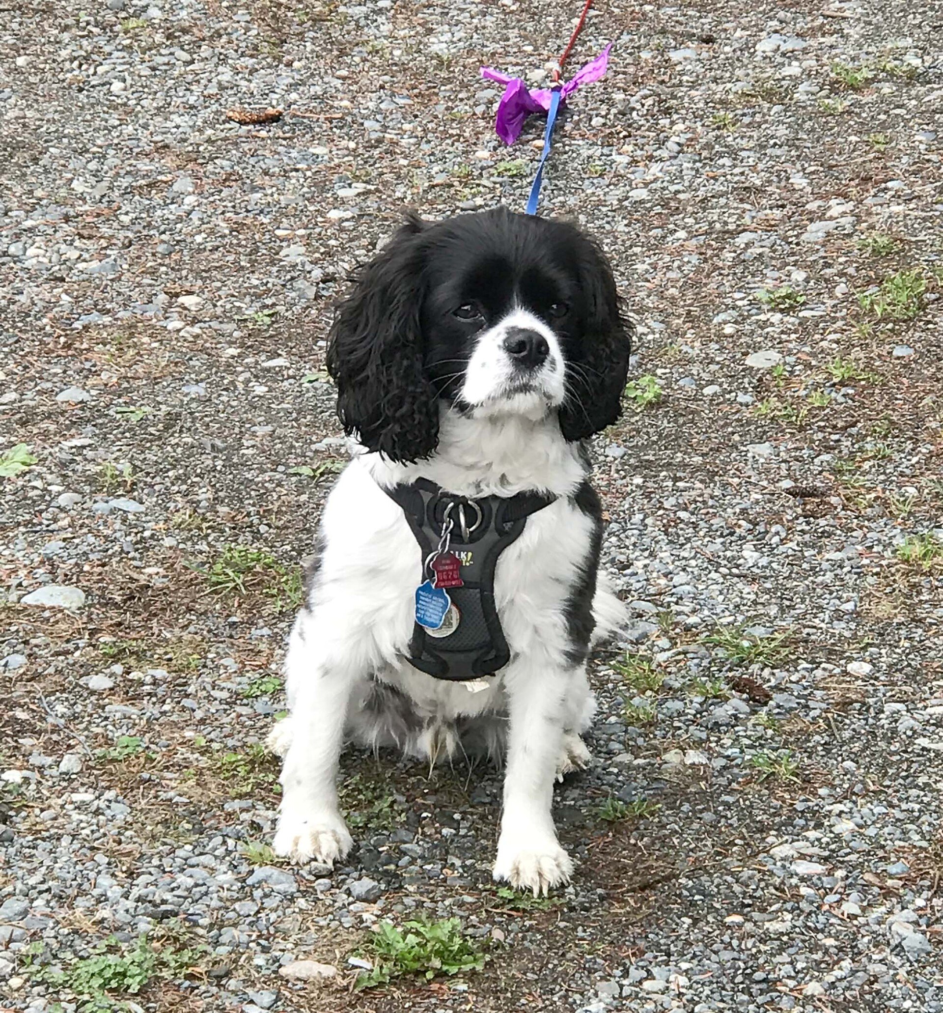 Gallery Premier RV Resort Roanoke Rapids, North Carolina