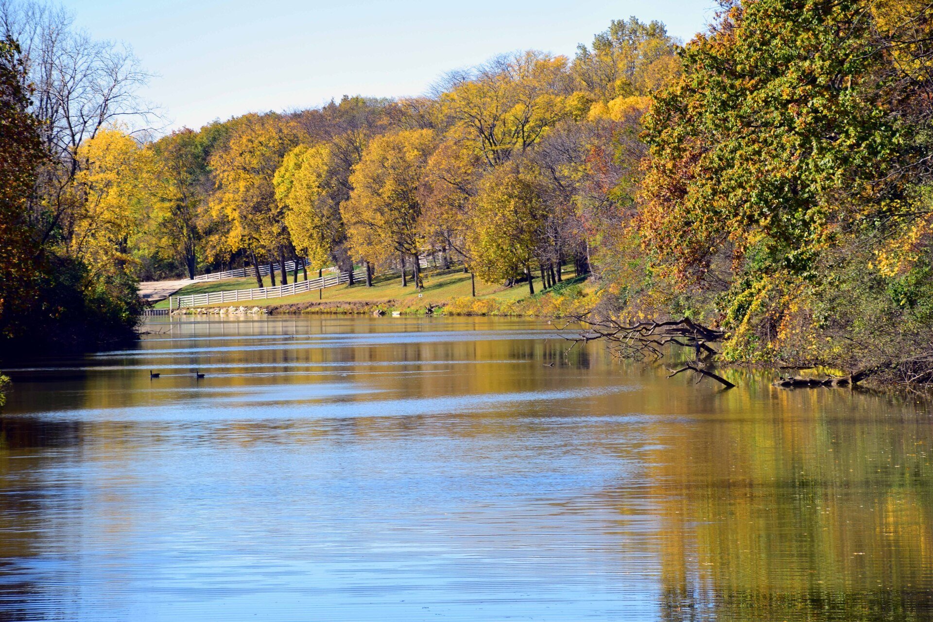 Find Homes for Sale in OH & MI RE/MAX Preferred Associates