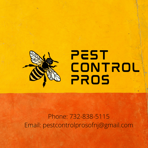 Pest Control Pros of New Jersey 7328385115
