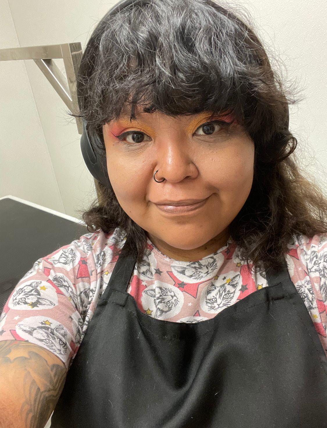 Dog & Cat Grooming Chicago, IL Ravenswoof Pet Grooming