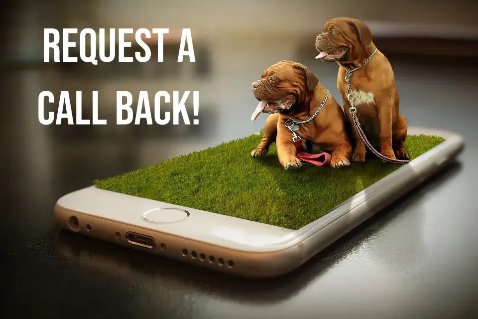 Dog Training Rydal, GA Alans K9 Academy