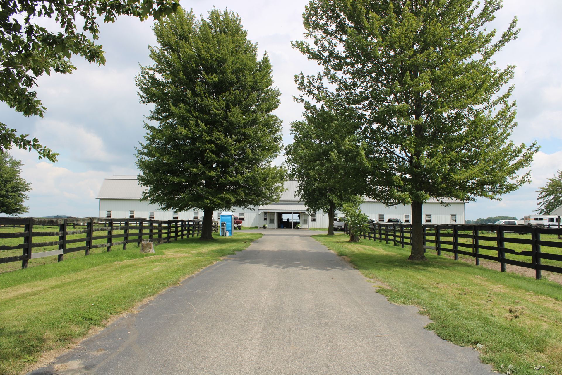 Land Of Lincoln Standardbred Sales Co. Gallery