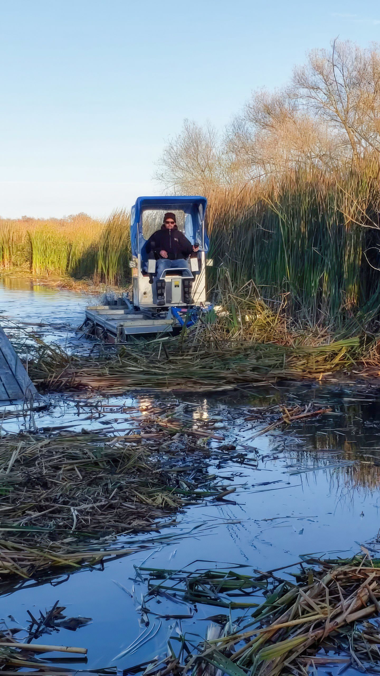 Weedless Waterways Ontario Lake and Pond Weed Removal Services