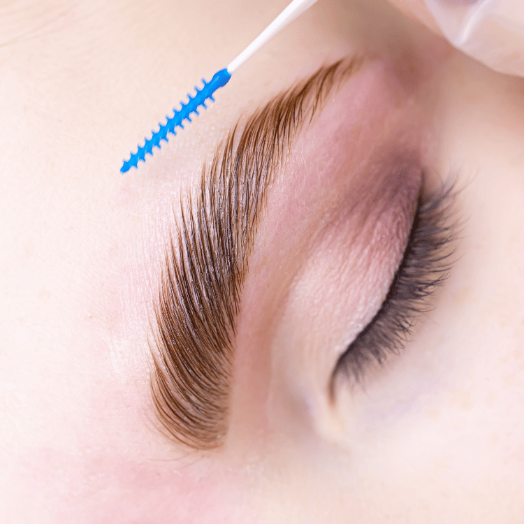 Expert Brow Lamination in Chicago House of Brows Fuller, Sculpted Brows