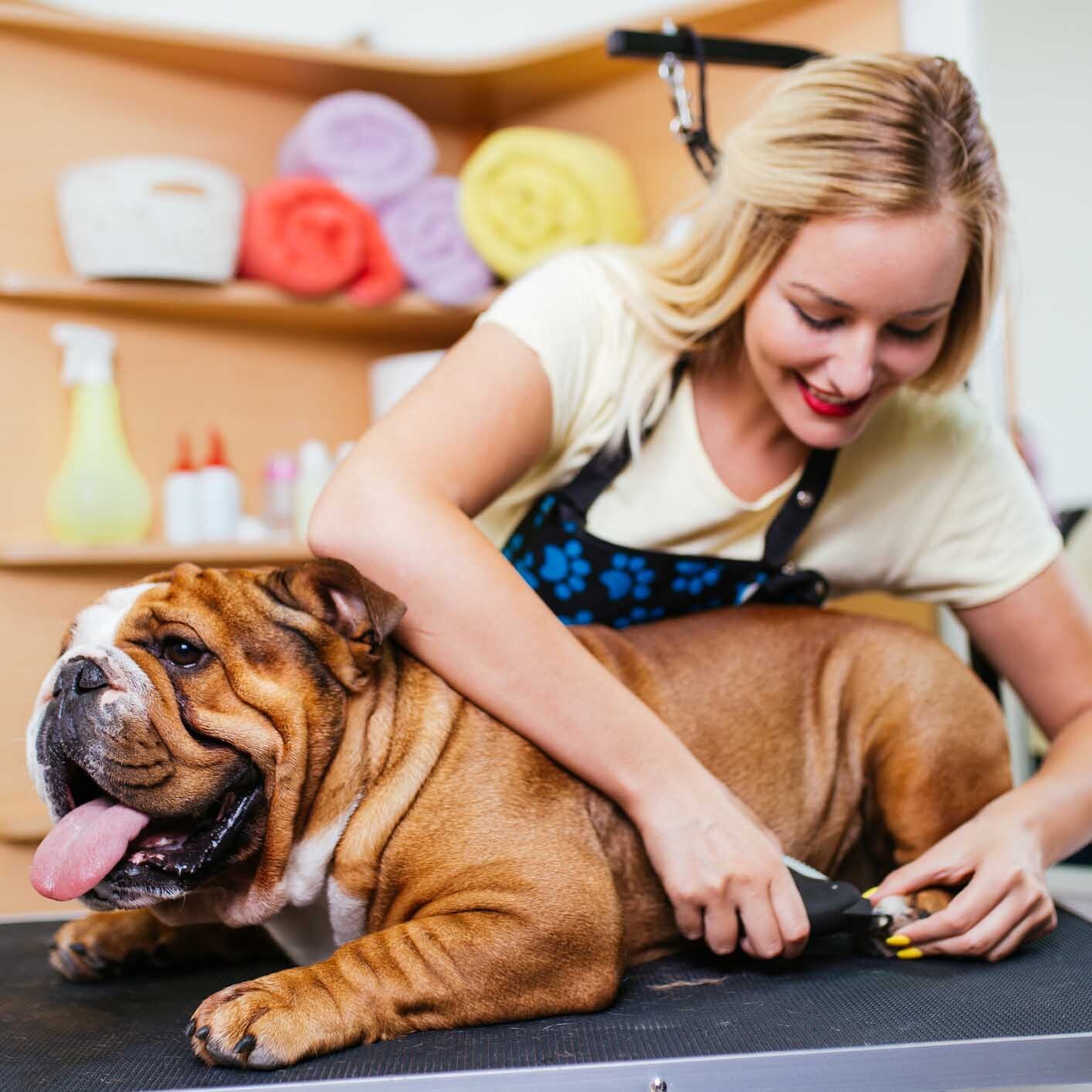 Pet Grooming Tucson, AZ Jackie's K9 Korral Pet Salon