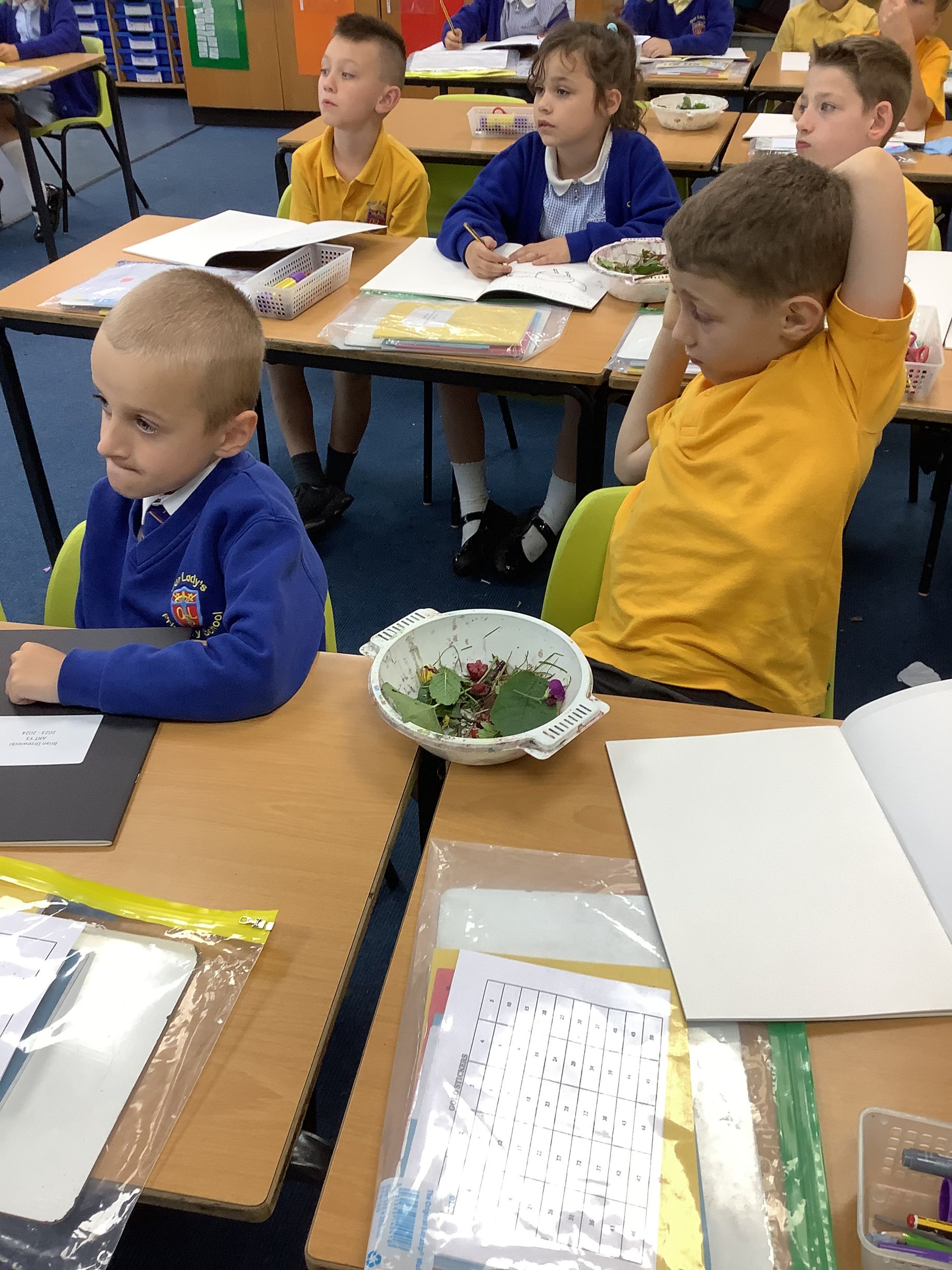 Year 3 Class Information