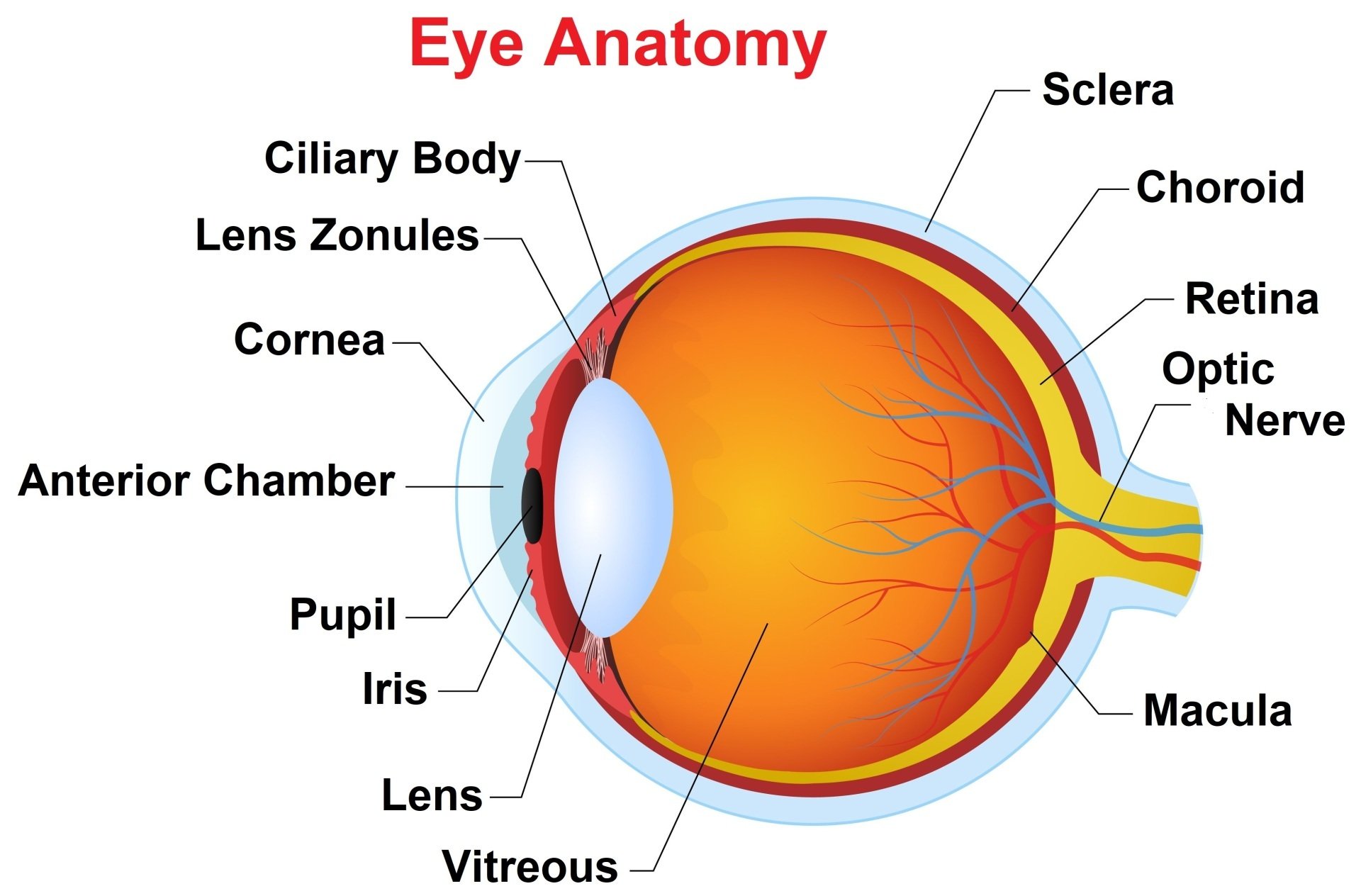 Wasatch View Eye Care Eye Doctor in South Jordan & Lehi