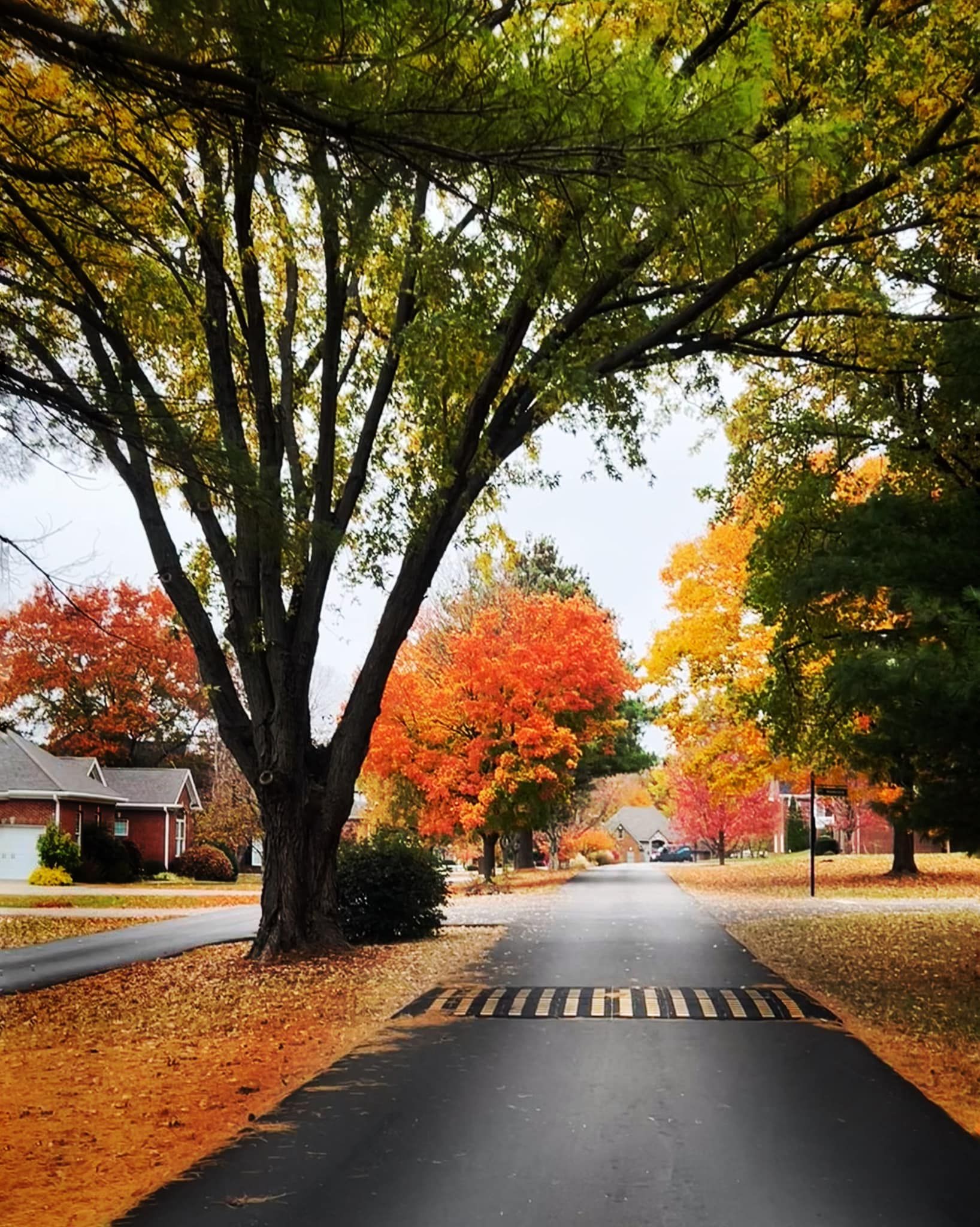 Home Two Creeks Property Owner's Association﻿ KY